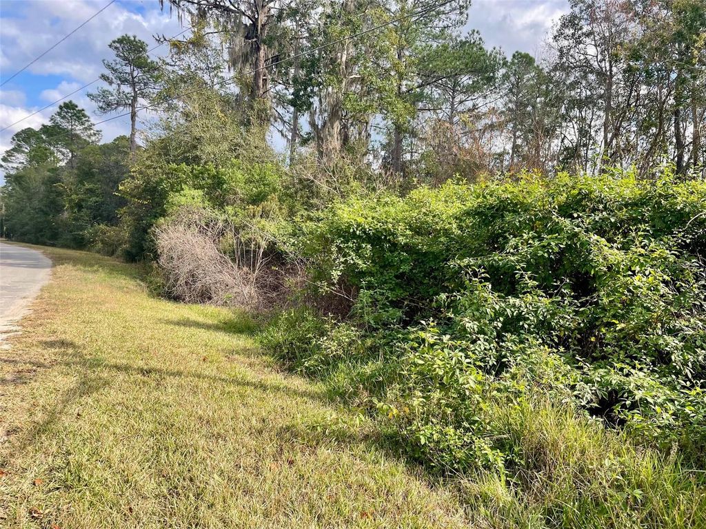 Photo of 000 Fisher Run, Ocklawaha, FL 32179 (MLS # OM714628)