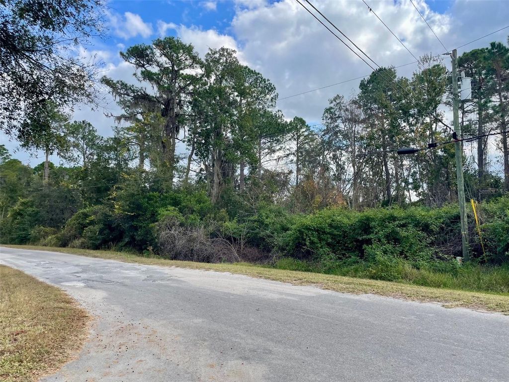 Photo of 000 Fisher Run, Ocklawaha, FL 32179 (MLS # OM714628)