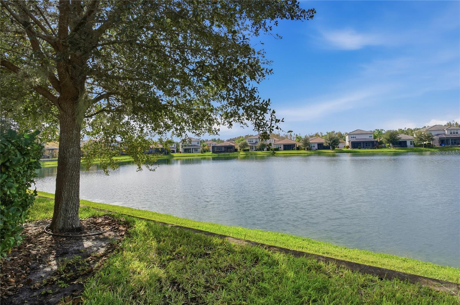 THE RIDGE AT WIREGRASS M23 PH 2 - Residential