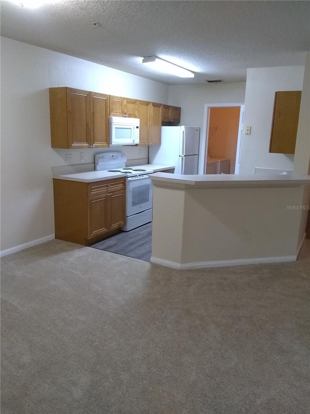 Photo of 6530 Swissco Drive #1113, Orlando, FL 32822 (MLS # O6391842)