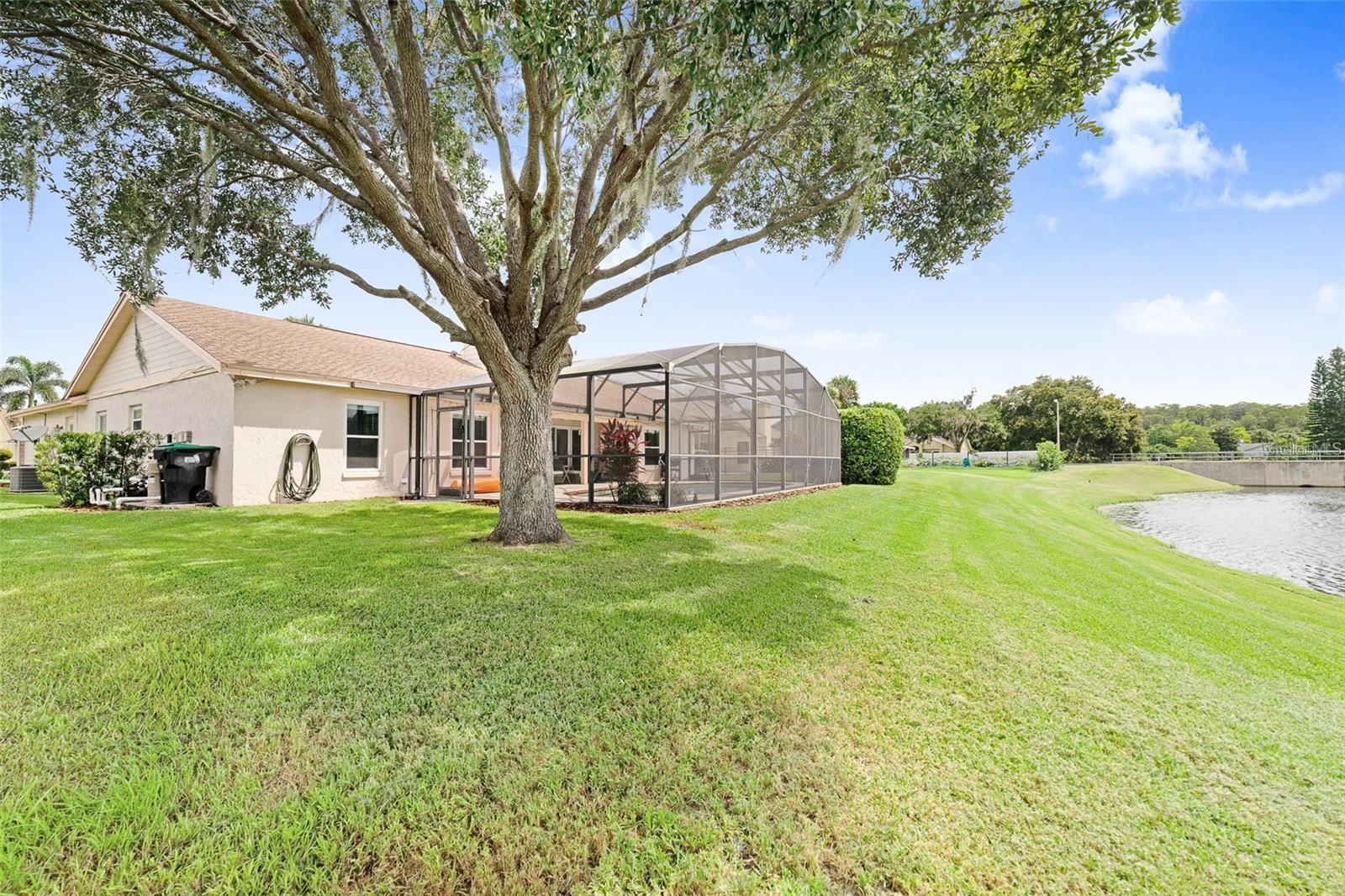 2732 LONE FEATHER DRIVE