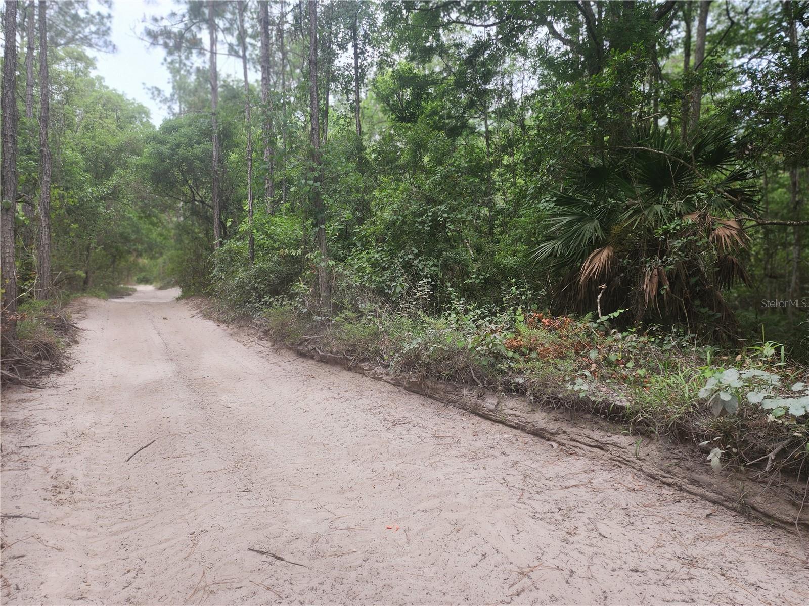 DAYTONA PARK ESTATES REP SEC F & G - Land