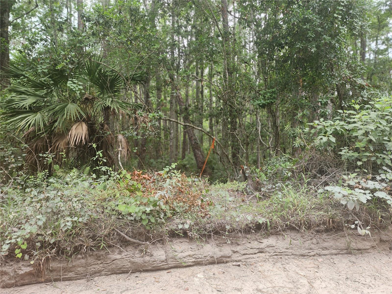 DAYTONA PARK ESTATES REP SEC F & G - Land