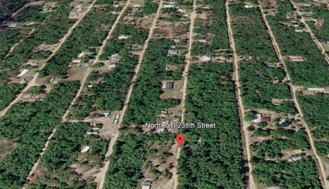 Photo of 15589 NE 238th Street, Fort Mccoy, FL 32134 (MLS # O6409245)