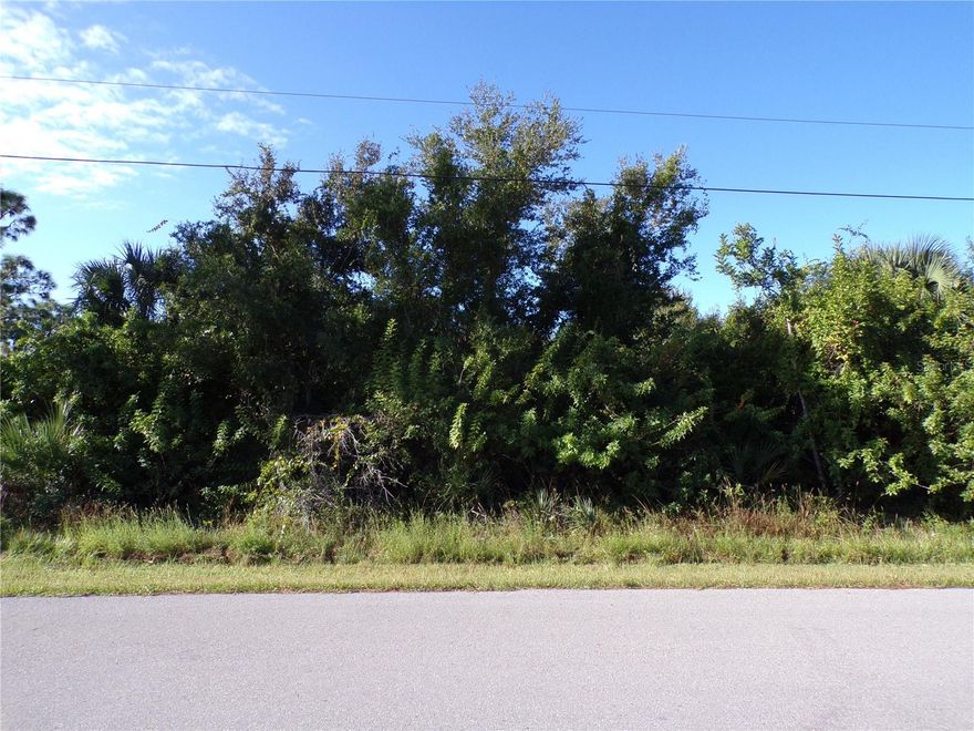 This nearly ½ acre lot is on a quiet street in the highly desired and exclusive Woodland Estates, this neighborhood would be a great place to build your dream home and retire or raise your family. The community is home to beautiful estate homes and lots of wildlife all with a country feel but close to everything. Less than 2 miles to Burnt Store Marina and Golf course and the Lee County line, only 9 miles to I75, and 11 miles to Punta Gorda Airport making this location an easy commute to almost anywhere. Only 14 miles to Ponce De Leon Park with amazing sunsets, 19 miles to Port Charlotte Town Center and only 11 miles Punta Gorda Historic district and waterfront park with lots of shopping and dining options. Tampa Bay Rays spring training and the fairgrounds are just minutes away, also multiple golf courses and some of the best boating and fishing in all of Florida. Red Soxs, Orioles, Twins and Braves spring training all within an hour’s drive. Buyer and buyers’ reps are responsible for determining environmental conditions and endangered species restrictions. This lot is priced to sell so please call for availability! This lot is at a great price point for the investor call today.