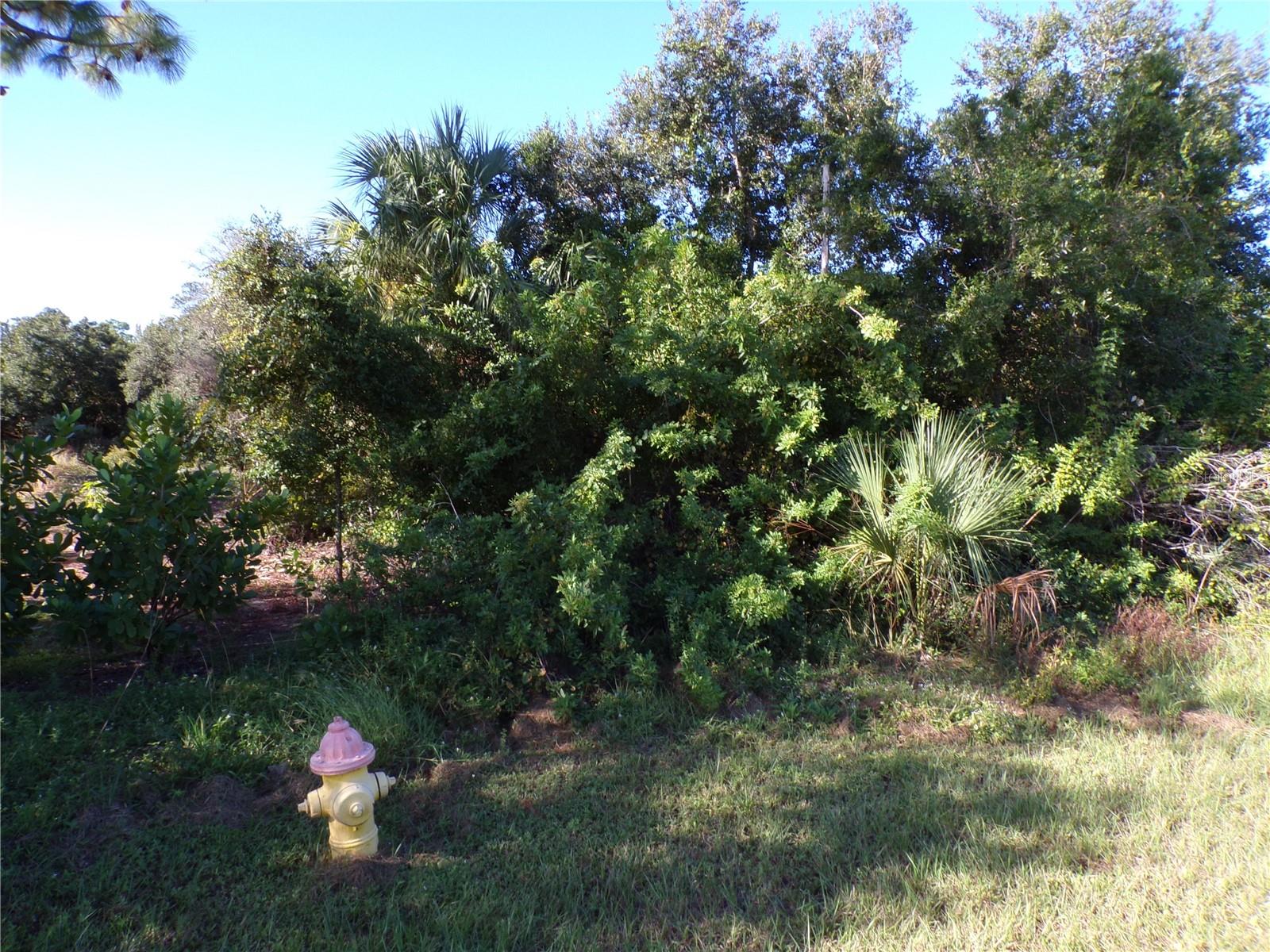 HARBORSIDE WOODS - Land