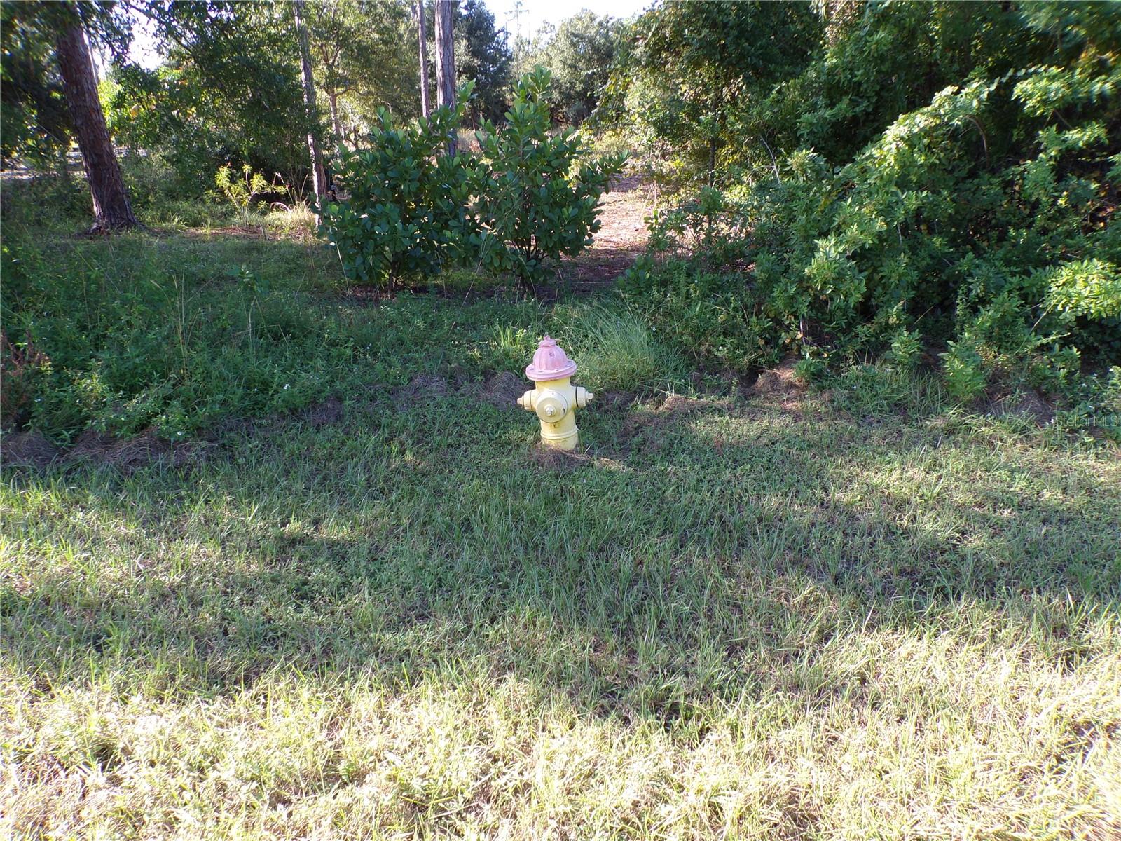 HARBORSIDE WOODS - Land