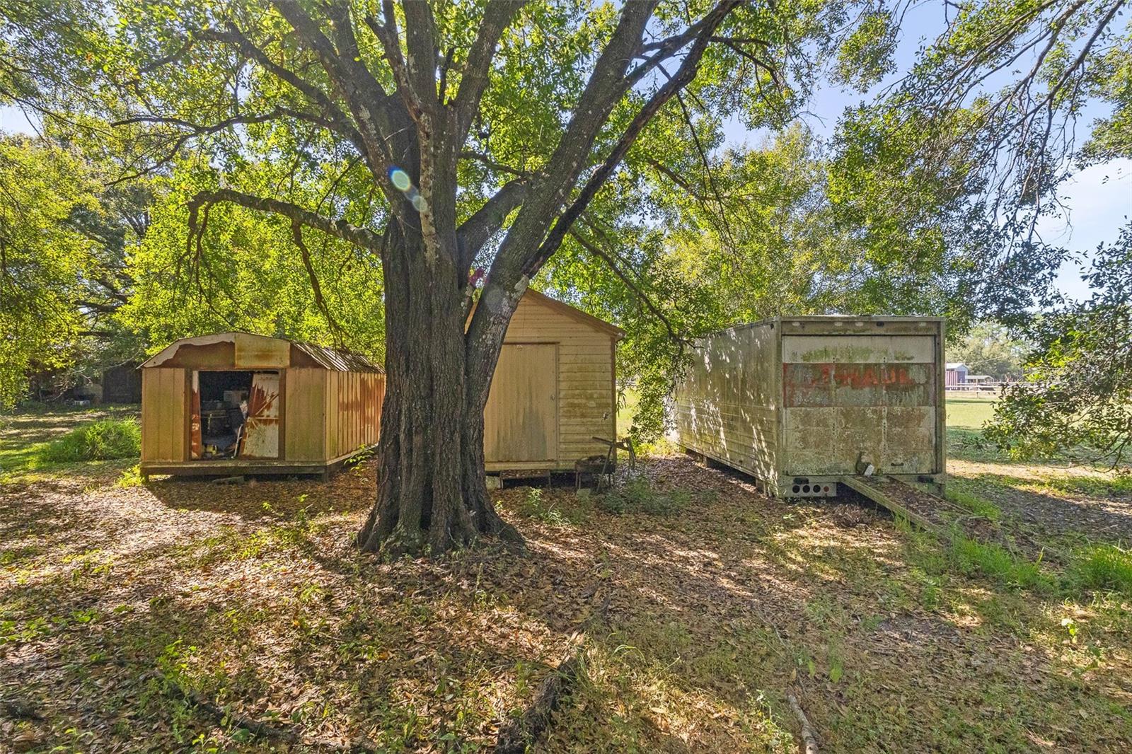 PIONEER PLANTATION 266 - Residential