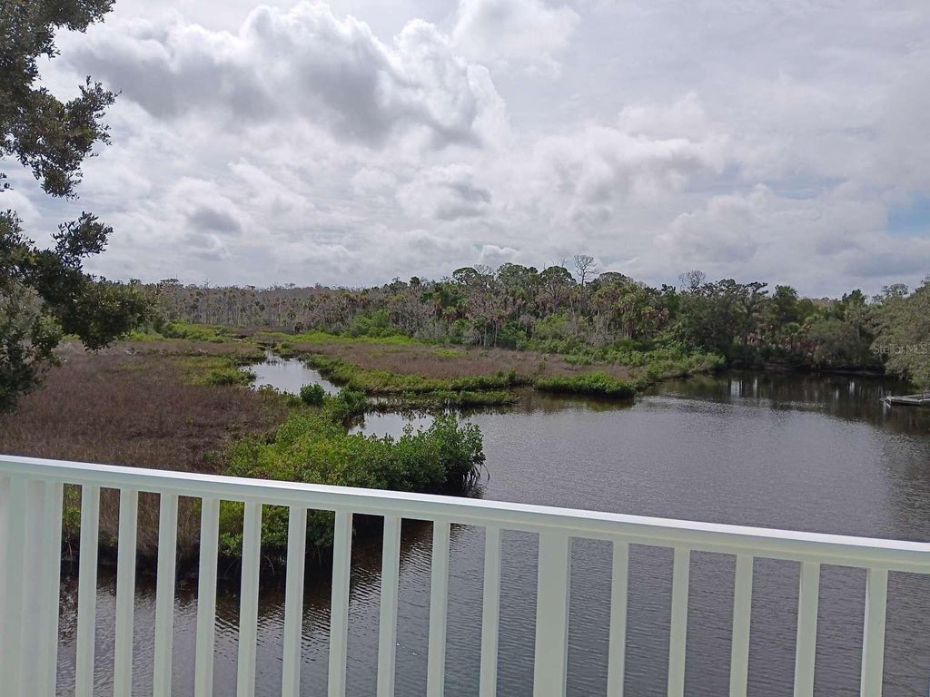 Photo of 1334 Osowaw Boulevard, Spring Hill, FL 34607 (MLS # TB8556194)