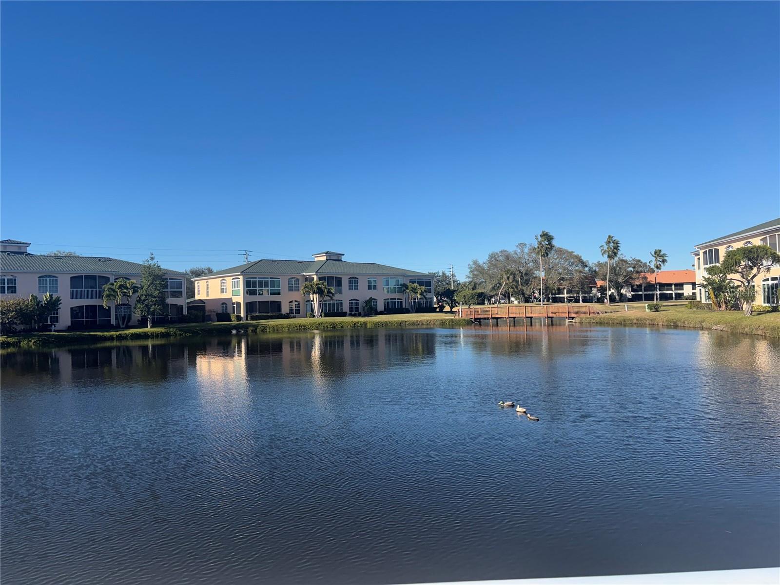 COURTYARDS AT GONDOLA PARK - Residential
