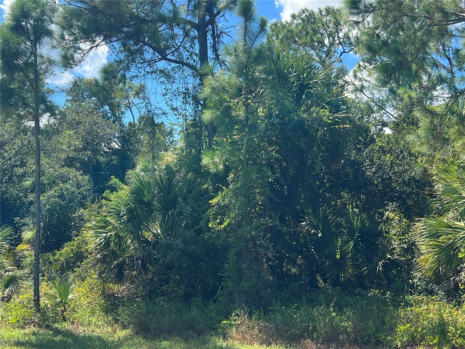 CONVENIENT LOCATION!!! Great opportunity to buy and build or invest and wait. This is a unique opportunity to purchase this expansive residential lot on Troutdale Street in NE Port Charlotte. This residential homesite is in a PRIME LOCATION offering the peace of country living, just minutes from the Sarasota County Line, yet conveniently located minutes to North Port's fast-growing shopping and business district, restaurants, shopping, medical, and other coastal lifestyle amenities. NO Scrub Jay permit required, according to county records. Bring Your Toys, there is NO HOA, NO Deed Restrictions. Head north to explore North Port or take a drive around to see all the new construction popping up nearby. This is the perfect location to create your year-round or seasonal home. You will enjoy easy access to the Gulf Beaches, Warm Mineral Springs, Interstate I-75, sports, entertainment, farmers markets, public parks and nature preserves. The best Tarpon and red game fishing in the world with off speed boat racing to spring training baseball teams as The Atlanta Braves and Tampa Rays baseball teams. Just want to go to the local beaches (Port Charlotte, Boca Grande, Englewood and Sarasota beaches) or fishing for the day. Don't miss out, call today and start planning to build your new Florida dream home!