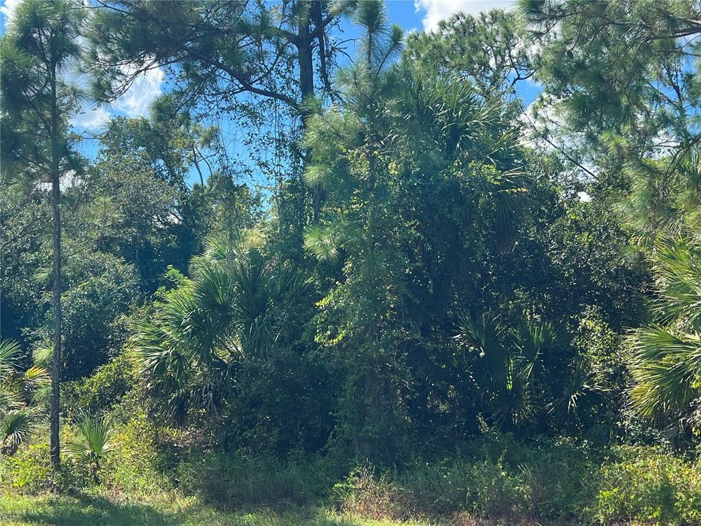 Photo of 299 Troutdale Street, Port Charlotte, FL 33954 (MLS # A4665470)