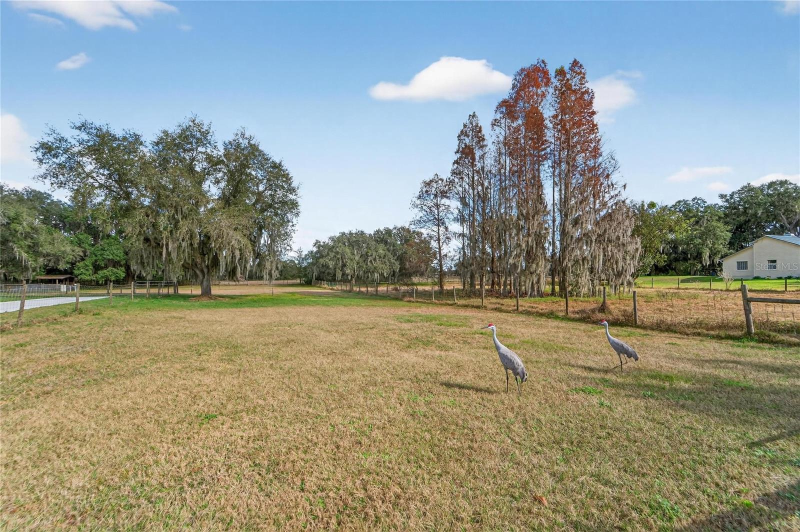 COUNTRY CLASS FARMS - Residential