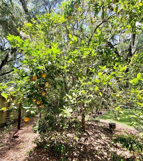 A home in GAINESVILLE