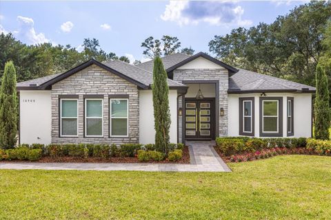 16500 MAGNOLIA TERRACE BOULEVARD MONTVERDE FL 34756
