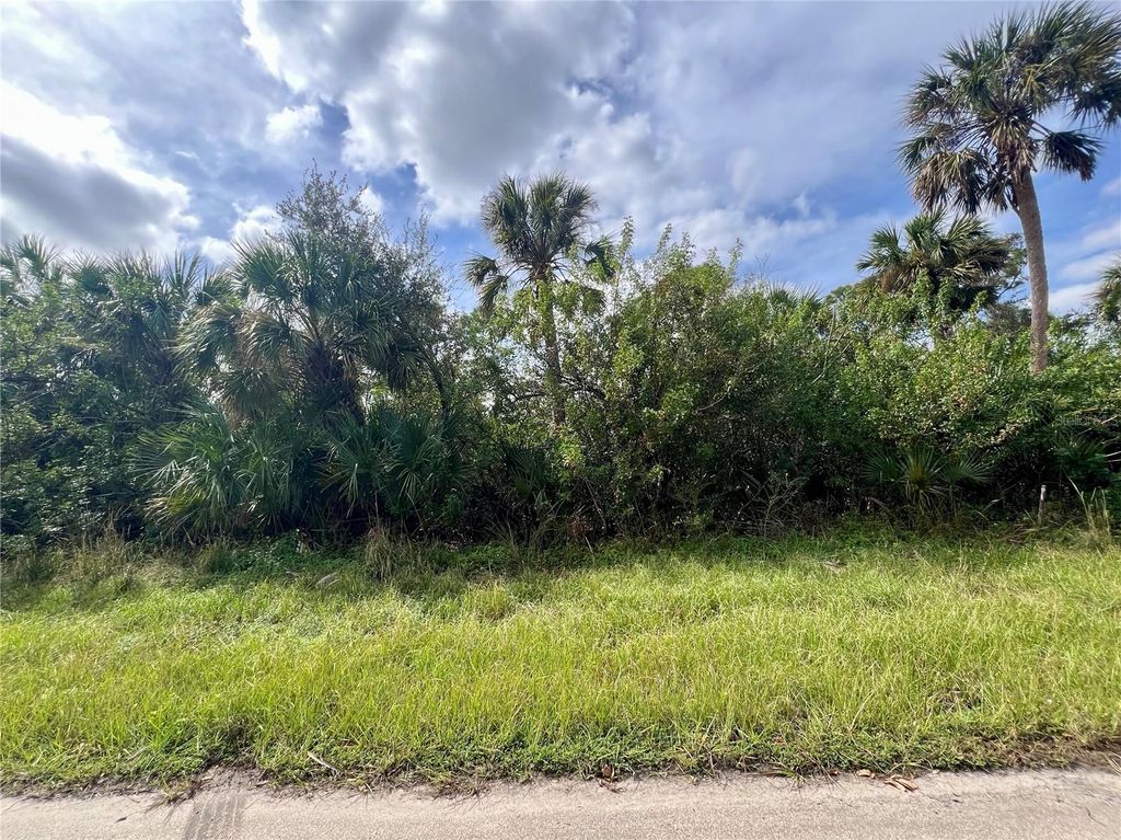 Photo of 355 Ramblewood Street, Port Charlotte, FL 33953 (MLS # C7496910)