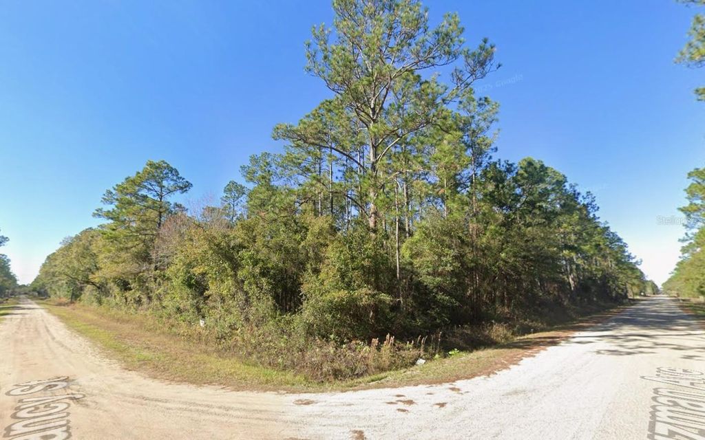 Photo of 4300 Nancy Street, Hastings, FL 32145 (MLS # OK225785)
