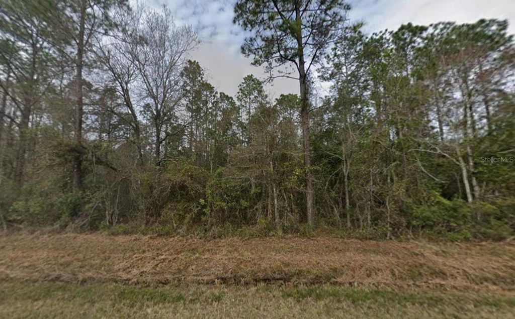 Photo of 4300 Nancy Street, Hastings, FL 32145 (MLS # OK225785)