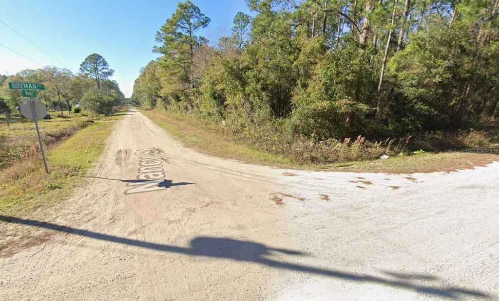 Photo of 4300 Nancy Street, Hastings, FL 32145 (MLS # OK225785)