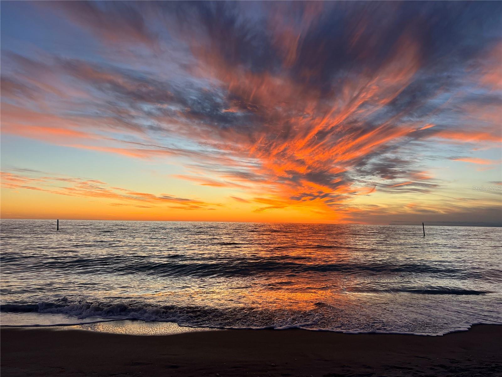 TANGERINE WOODS - Residential