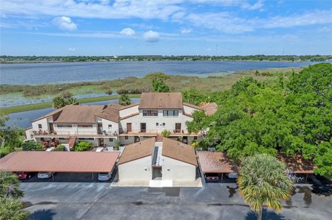 A home in MOUNT DORA