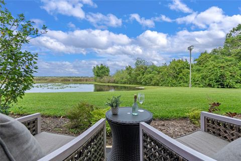 A home in MOUNT DORA