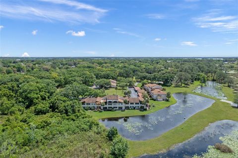 A home in MOUNT DORA