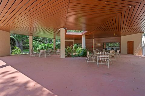 A home in MOUNT DORA