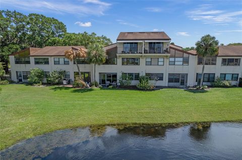 A home in MOUNT DORA