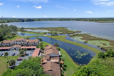 A home in MOUNT DORA