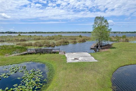 A home in MOUNT DORA