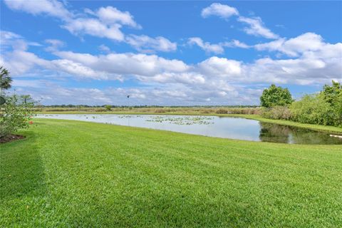 A home in MOUNT DORA