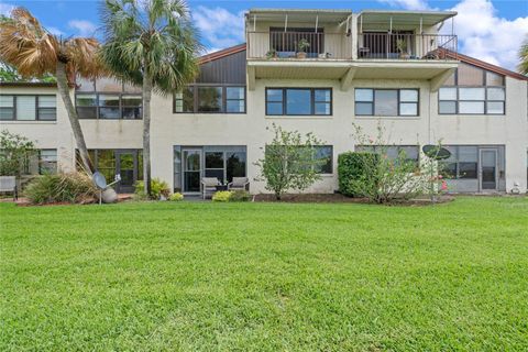 A home in MOUNT DORA