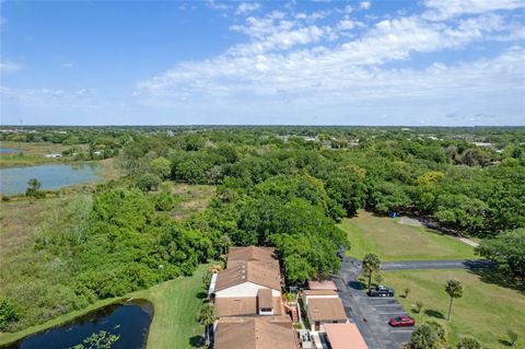 A home in MOUNT DORA