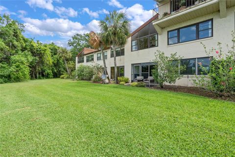 A home in MOUNT DORA