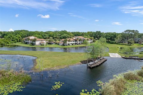 A home in MOUNT DORA