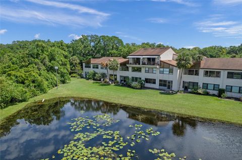 A home in MOUNT DORA