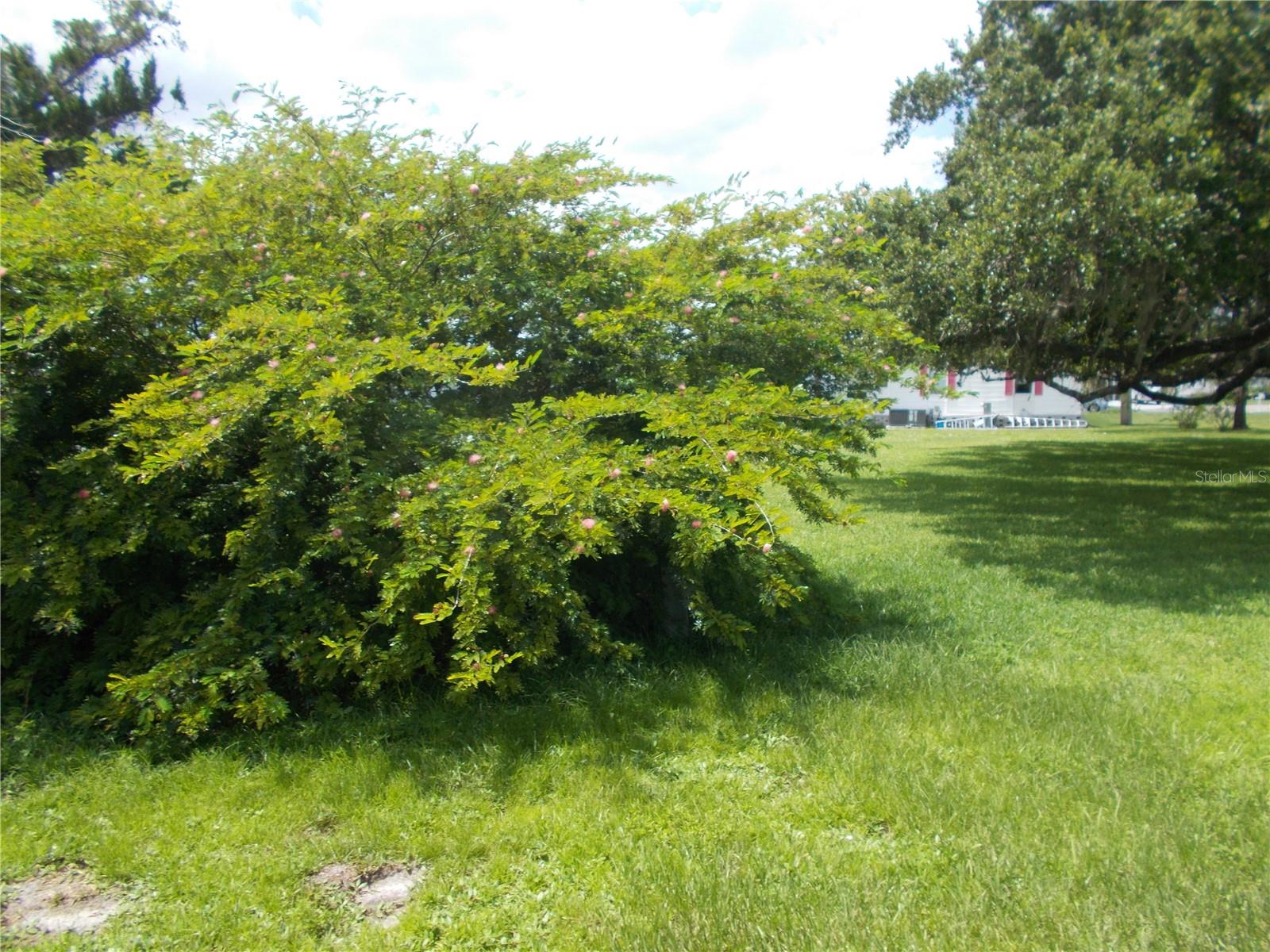 HOLIDAY PARK - Residential