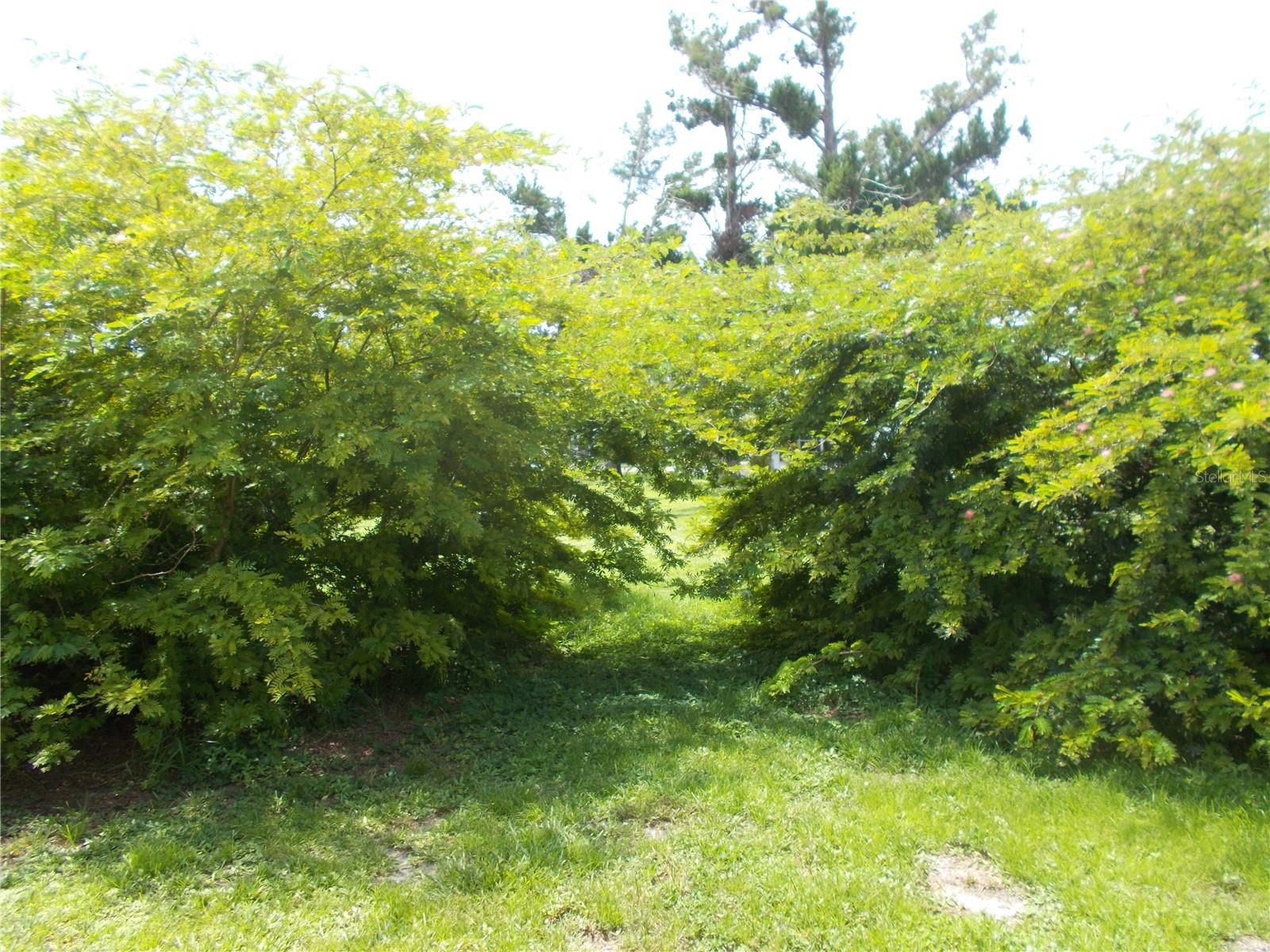 HOLIDAY PARK - Residential