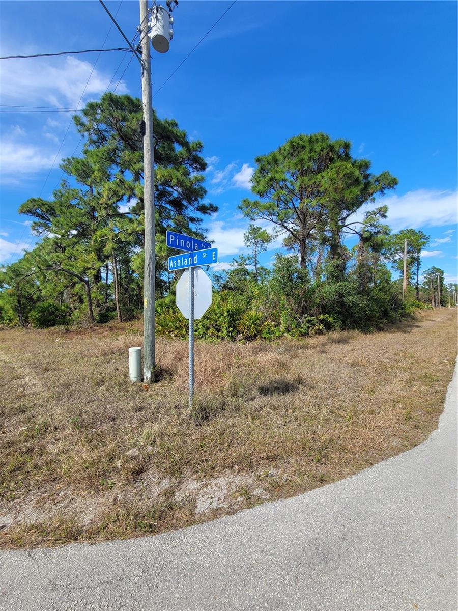 TWIN LAKE ESTATES - Land