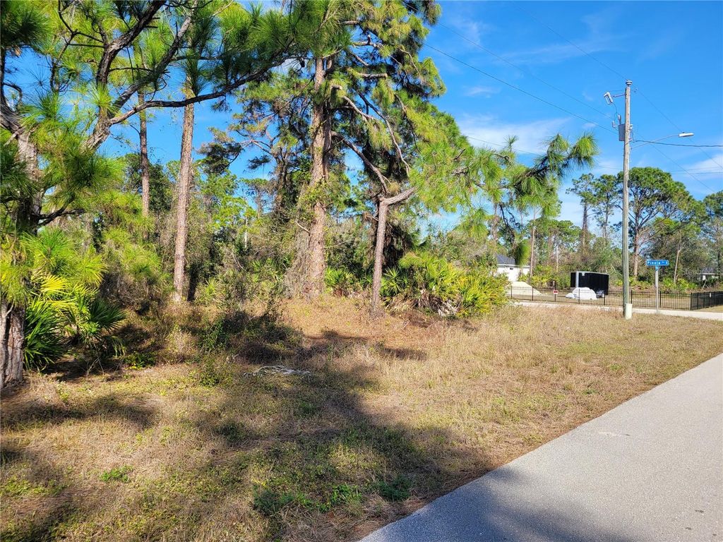 Photo of 236 Pinola Avenue S, Lehigh Acres, FL 33974 (MLS # TB8454062)