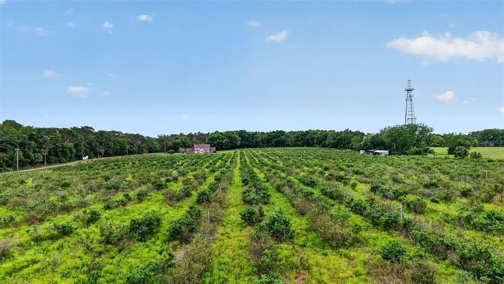 Photo of Urick Street, Fruitland Park, FL 34731 (MLS # G5110813)