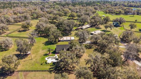 6341 W HWY 329 REDDICK FL 32686
