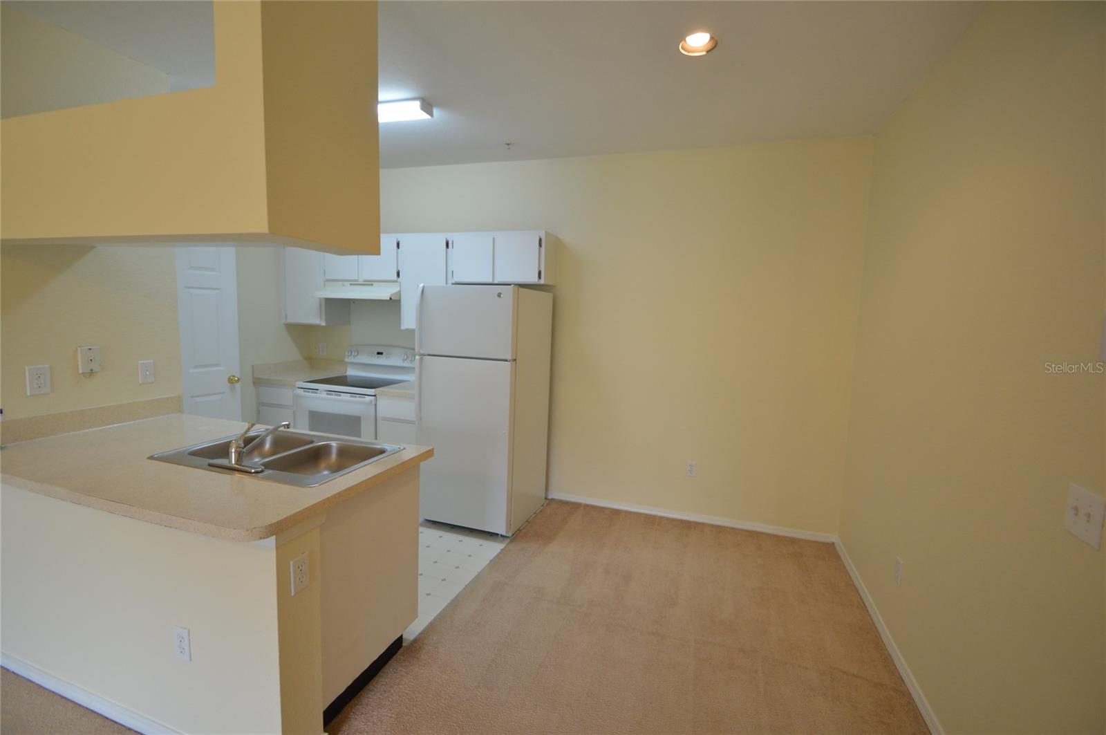13113 SANCTUARY COVE DRIVE 204