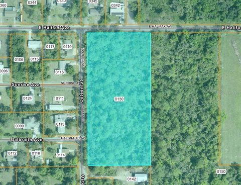 E HALIFAX OAK HILL FL 32759