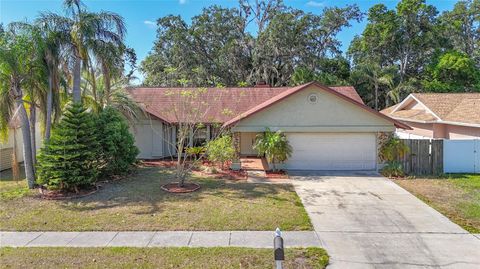 1623 CARTER OAKS DRIVE VALRICO FL 33596