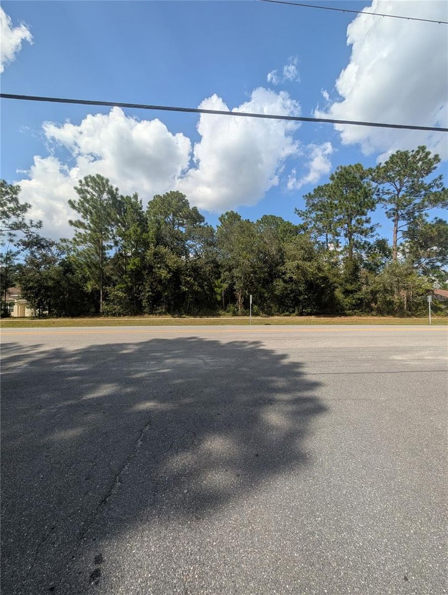 Build your dream home on this beautiful .58-acre homesite in desirable Citrus Springs! Featuring flat, buildable topography and a 135x187 home site, this property offers the perfect setting for your new Florida lifestyle. Conveniently located across from Citrus Springs Elementary School, this homesite provides both comfort and convenience.  Enjoy nearby recreation with access to golf, tennis, parks, and playgrounds just minutes away. Explore the best of Florida’s Nature Coast - from tubing and kayaking in the Rainbow River, to fishing in the Withlacoochee River or Lake Rousseau, you’ll find endless ways to experience the outdoors. Located only 20 minutes from Ocala and a short drive to Dunnellon, you’ll have easy access to shopping, dining, and all the amenities of a larger city while still enjoying the peace and beauty of this charming community.  Come see why so many are falling in love with Citrus Springs - there’s truly a lot to love!