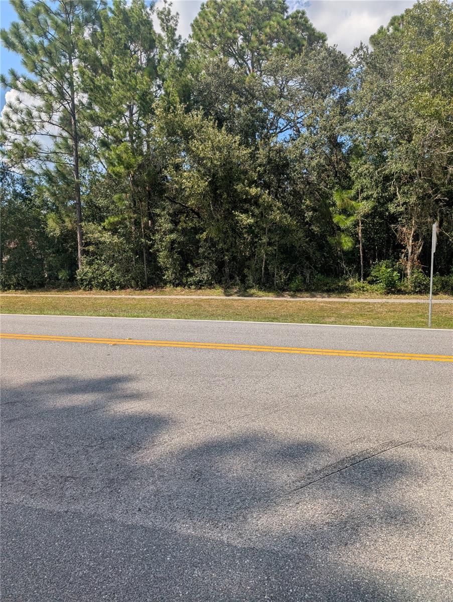 CITRUS SPGS UNIT 10 - Land