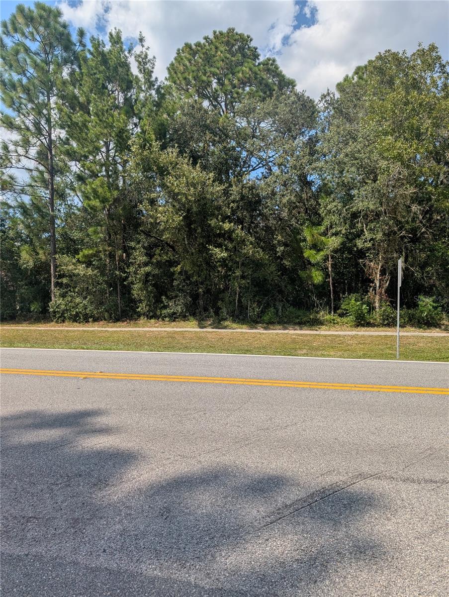 CITRUS SPGS UNIT 10 - Land