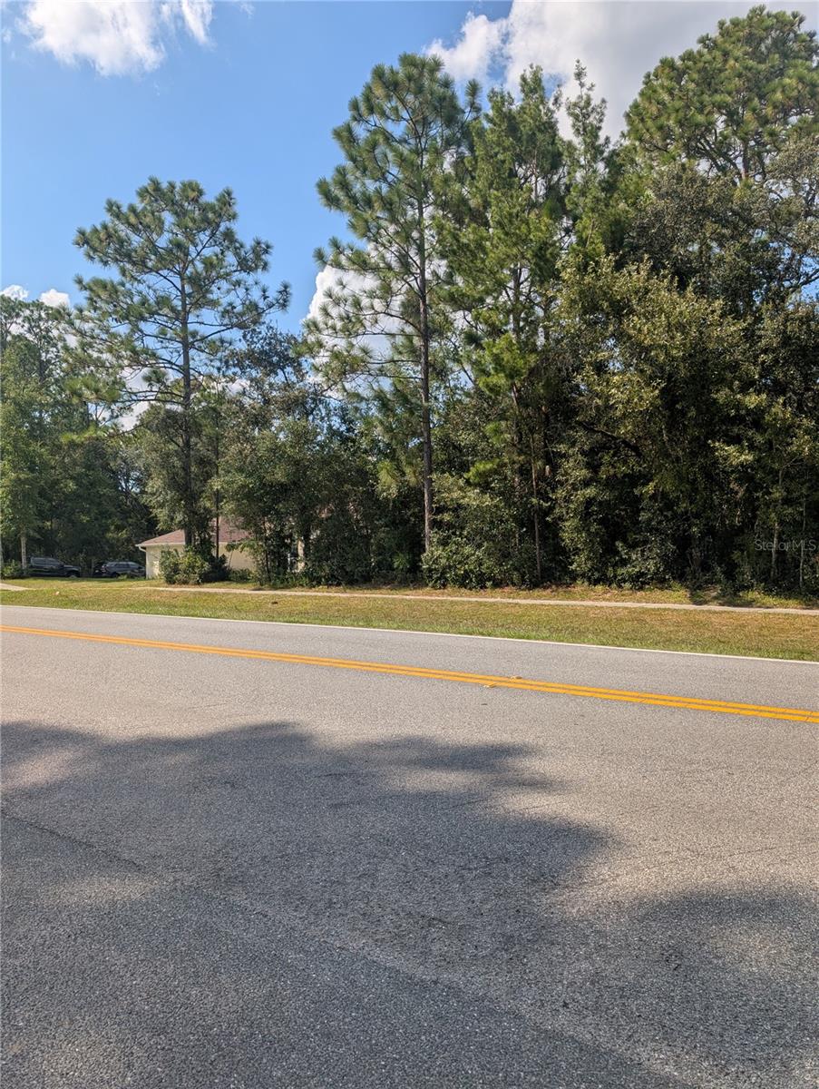 CITRUS SPGS UNIT 10 - Land